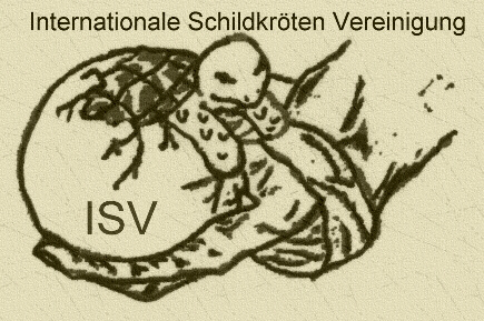 ISV-Internationale Schildkrötenvereinigung